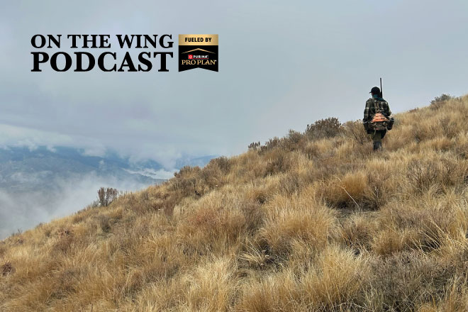 0167d68e-fa8c-45cc-9de4-6edd310f5540