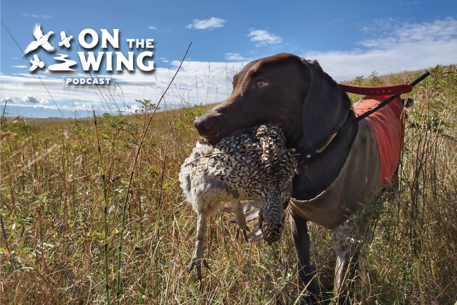 058de09f-b084-487b-8199-2be531e48c15