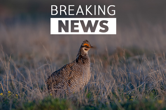 0b511dd9-d181-476f-89a4-30bf7bc7569d