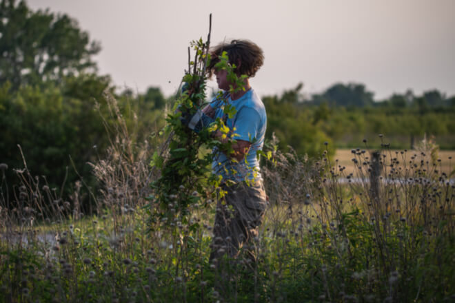 invasive removal
