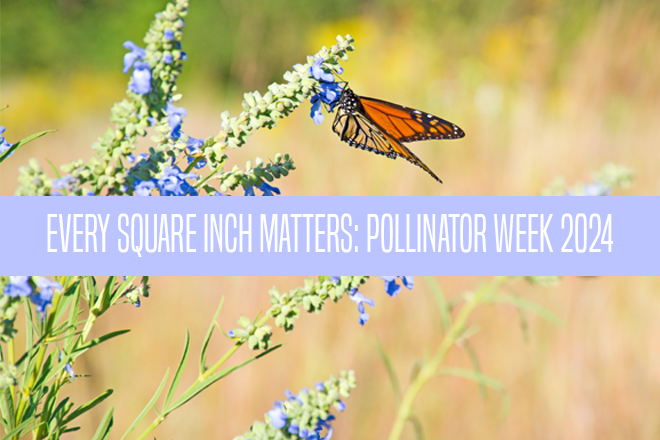 12d5663e-473b-4f21-9c0d-eac81b5fe71e