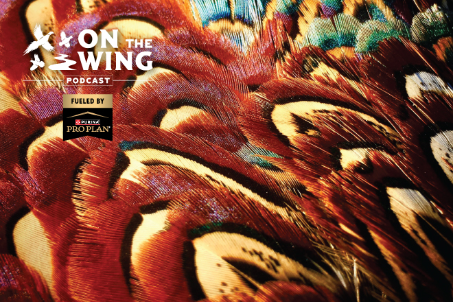 14aca5d7-d86b-4e82-94a8-ee973ed7fc38