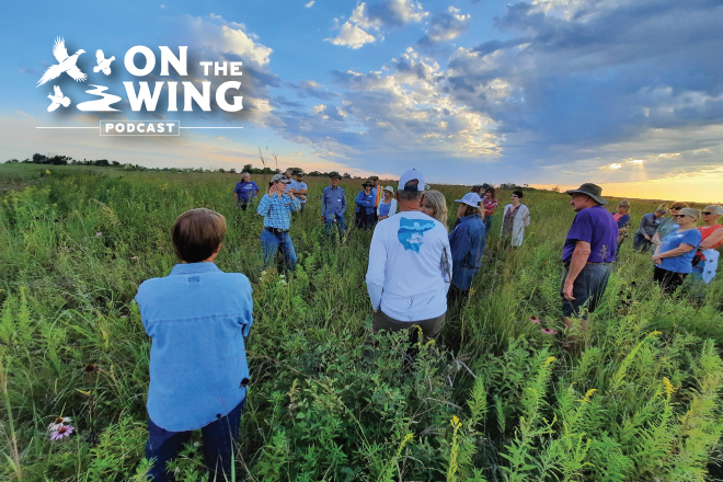 17792a71-6b7e-48ee-b2c3-a123fbd4963d