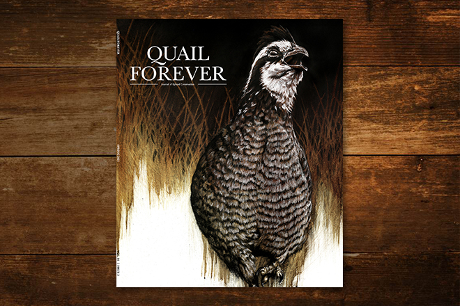 Pheasants Forever and Quail Forever in Kansas