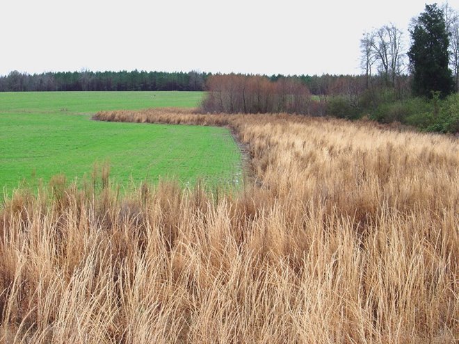 1936d63c-f2b7-438f-a757-30dd8d67f974