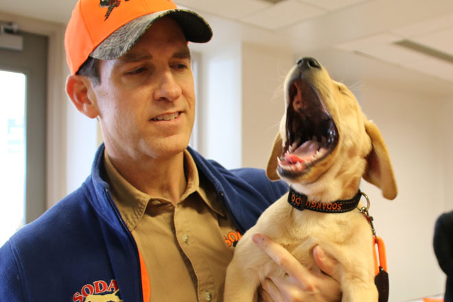 Annual Bird Dog Parade To Kick Off 2020 National Pheasant Fest