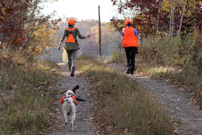 22997889-60e8-4d94-b9f3-b898cd42d3fd