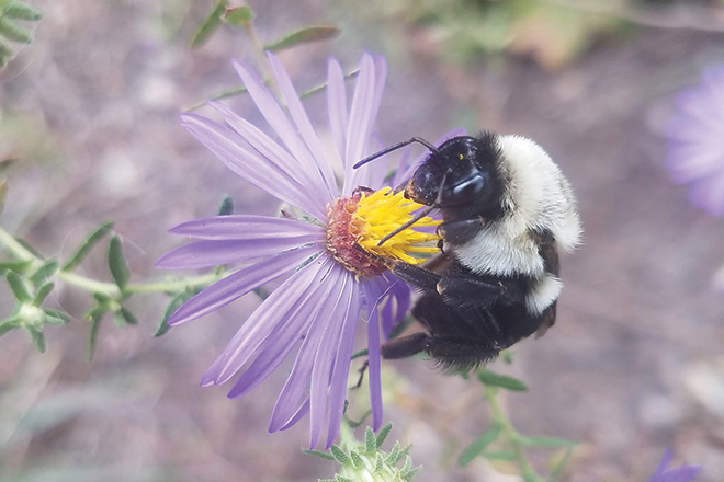Men ozimni porno suratga oldim