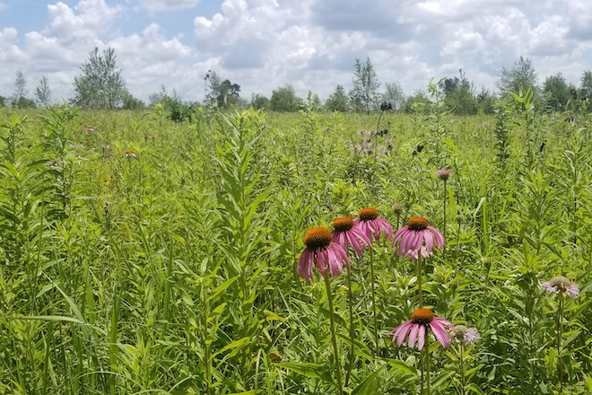 2484a1ba-d5b8-419e-ad06-2041add82965