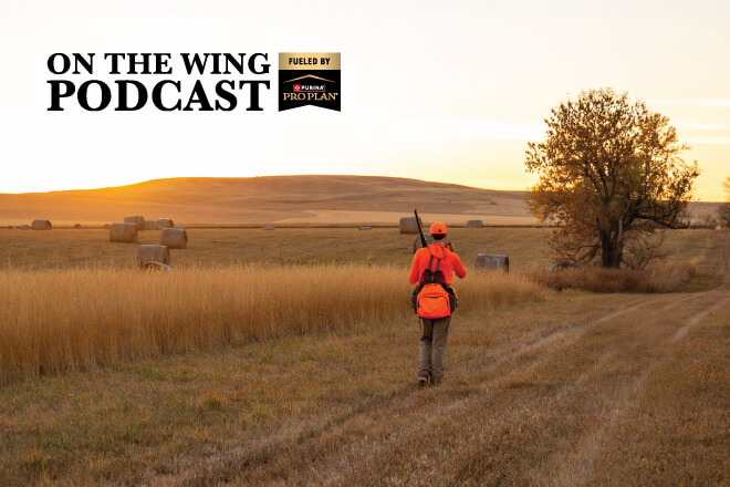 250f7766-6924-46a9-b526-9fd3156ea890