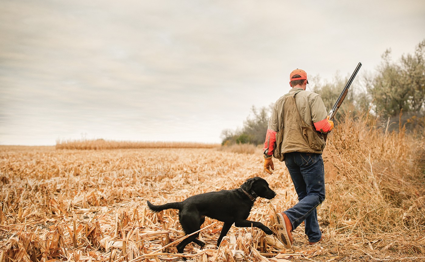 Best quail hunting store boots