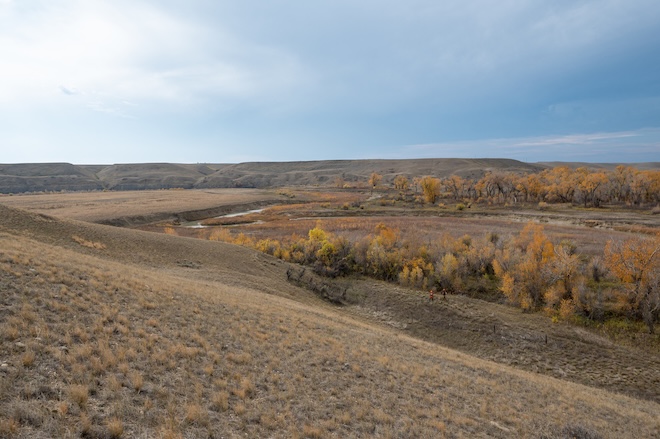 2774867f-f989-462f-9ea5-a14ad25c1cb8