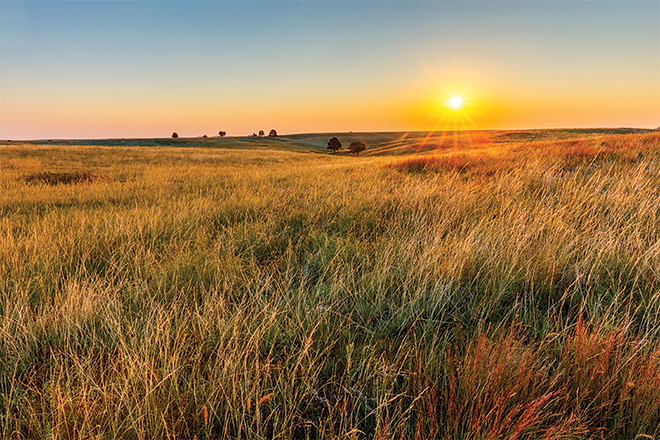 The Grasslands Are Growing Again In The Great Plains