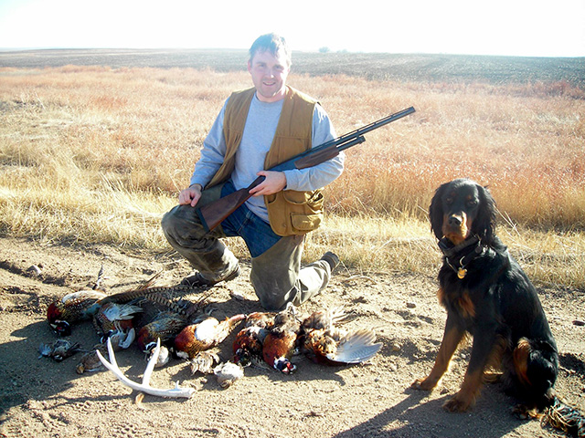 gordon setter hunting