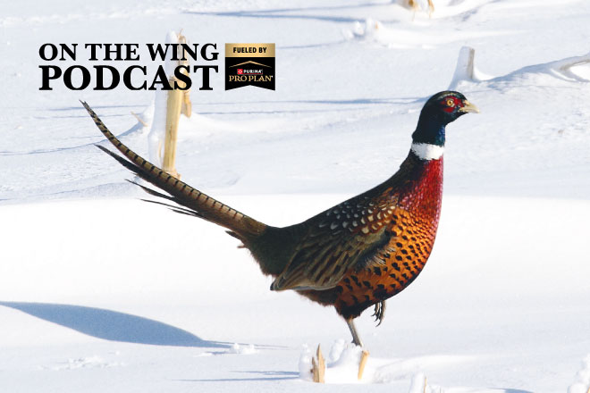 31afbe94-2ff1-4fb3-ae5c-cdf77e54556b