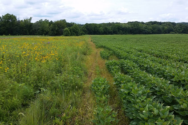 32ca3dd3-2e1b-4c80-8243-9fee2c9f2fd4