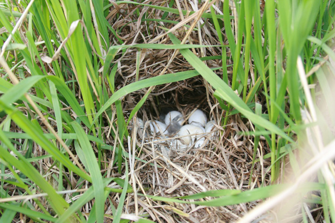 342f4814-0626-42d2-ae36-59869319c863