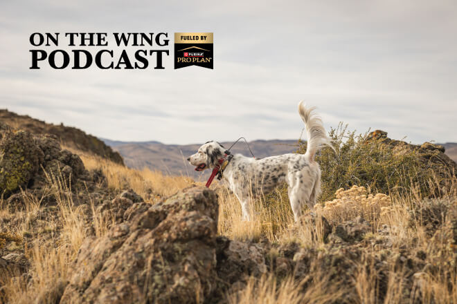 396e2fe8-70d9-4933-84fc-f60a22704e6e