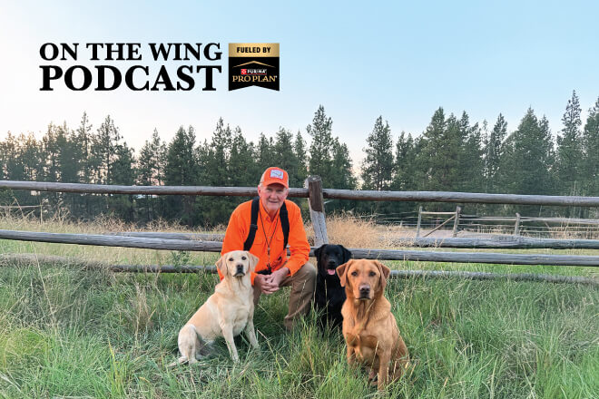 39f2ed27-0896-4279-9205-ec729ea399d2