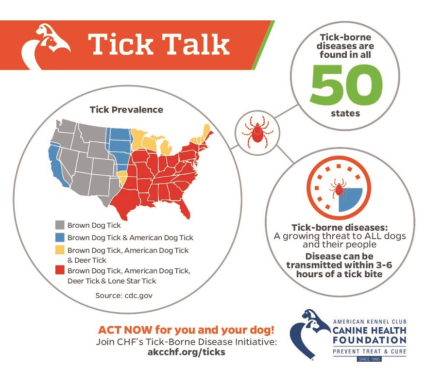 Tickborne Diseases Infographic