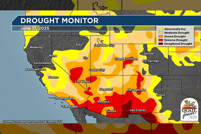 441a3b3d-a120-4387-a755-7203b7836c57