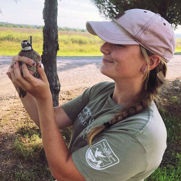  <h2>West Point, Mississippi </h2>Mississippi State University grad student Olivia Lappin sent in this awesome photo of her holding a radio-collared bobwhite quail while doing field research. Olivia says she is researching bobwhite quail for her master's degree.<br />
<br />
She says, "I am researching bobwhite for my Masters degree at Mississippi State. This research allows me to capture quail through various capture methods and attach bands and radio collars to each bird. Attaching radio collars allows myself and my technicians to track the birds locations each day to keep up with resource use, mortality, and nesting! This is one of my favorite photos of a male who we recaptured during a mist netting attempt!"