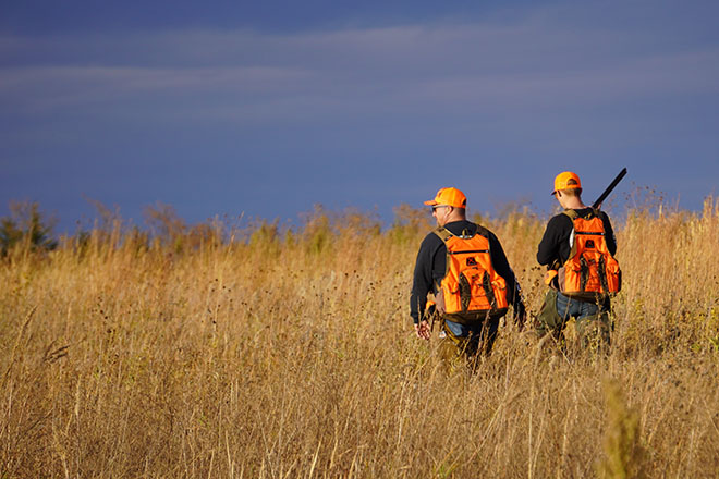 45c1fa73-4de7-463d-8bc8-d8cf60c11d0e