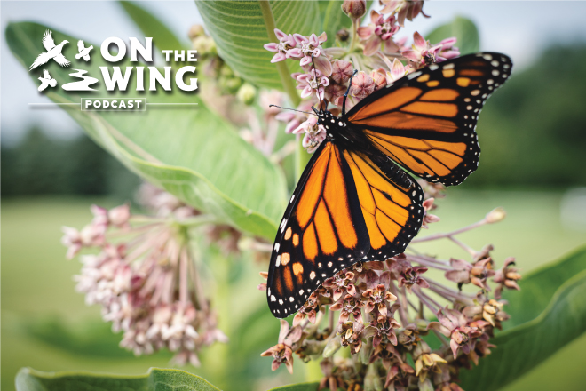 46e36390-6fdd-4654-b5f0-63916eeb6ae9