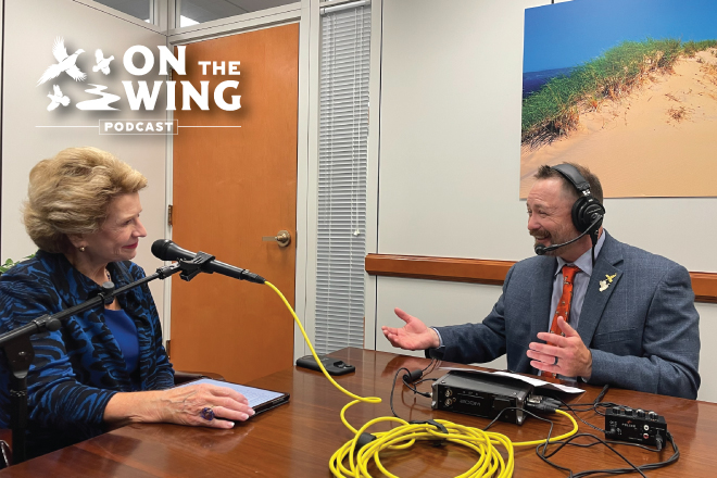 47c33170-f0d3-4886-a38a-e5b35b320a5f