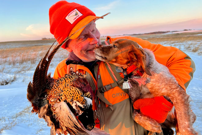 pheasant hunting dogs