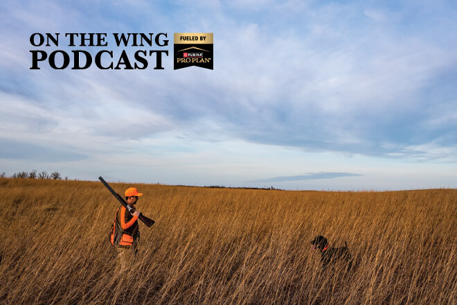 5366b934-544b-4c4b-9d76-0764facb4992