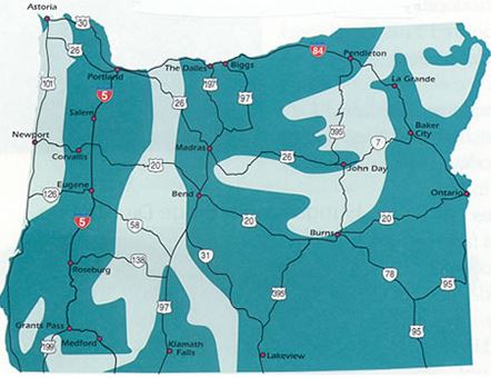 LINKS [quailforever.org]