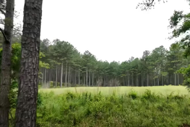 article preview image