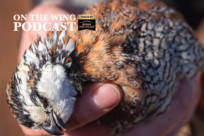 6df80868-ad29-451c-885d-97b64a7d3204