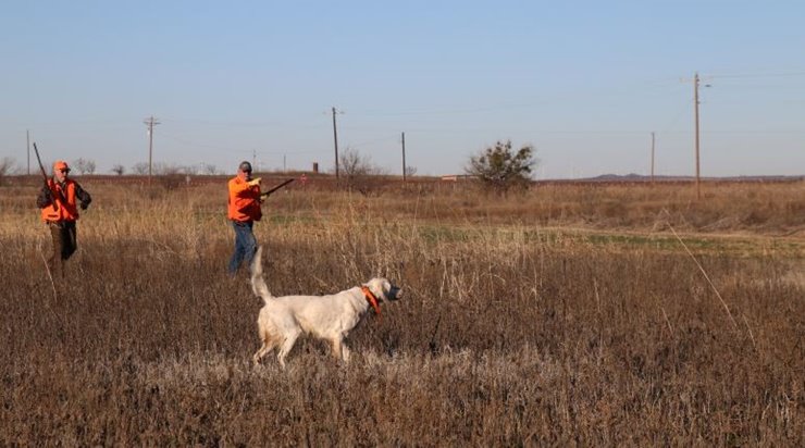 75d1f7a0-2e35-4639-a43e-506ef618ea38