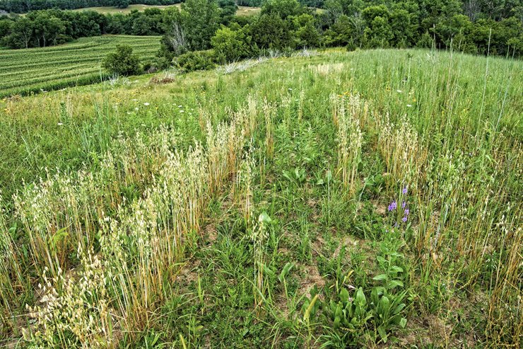 783440e1-4172-462b-b835-48b082415251