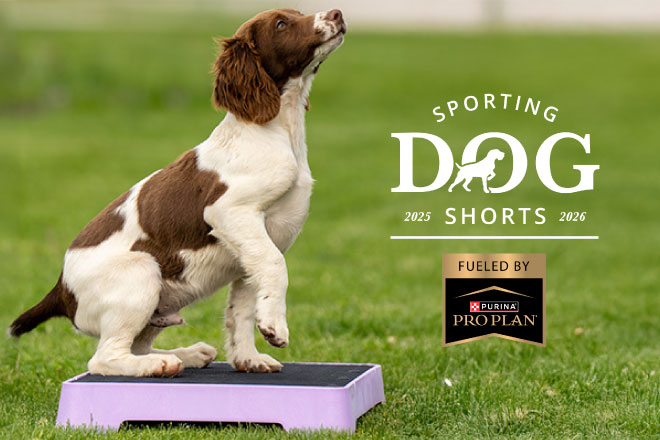 78c18bae-41ab-4082-8b6d-b5424296785c