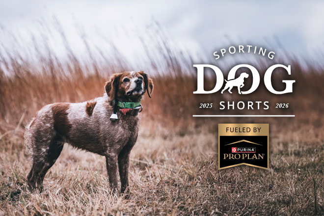 78d52df8-71e9-4b63-9d3d-f9ce05c50a6e