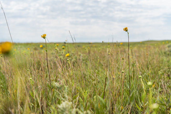 7ad4b3cd-c511-4e16-87d9-d134d3b6c65b