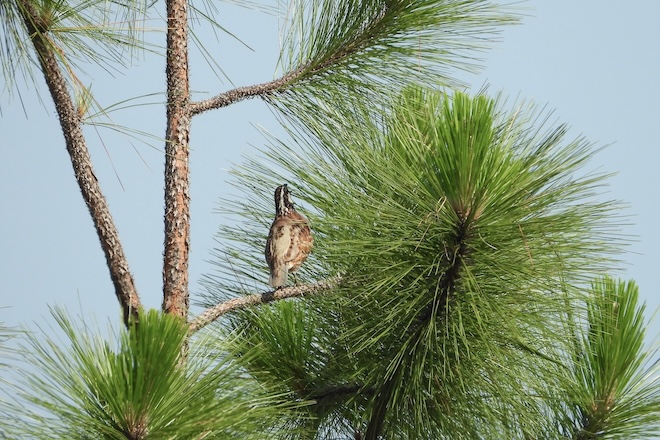 7d54c87d-07c6-4a16-8d55-9d125d36d590