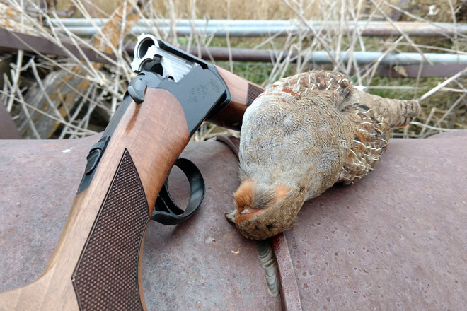 Upland Shotguns - Which Shotgun is right for Bird Hunting?