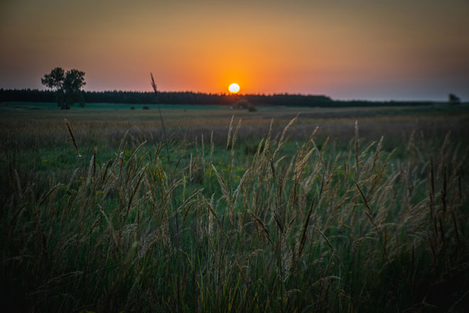 85660dd0-5b6a-456a-b118-79a284bfb7c9