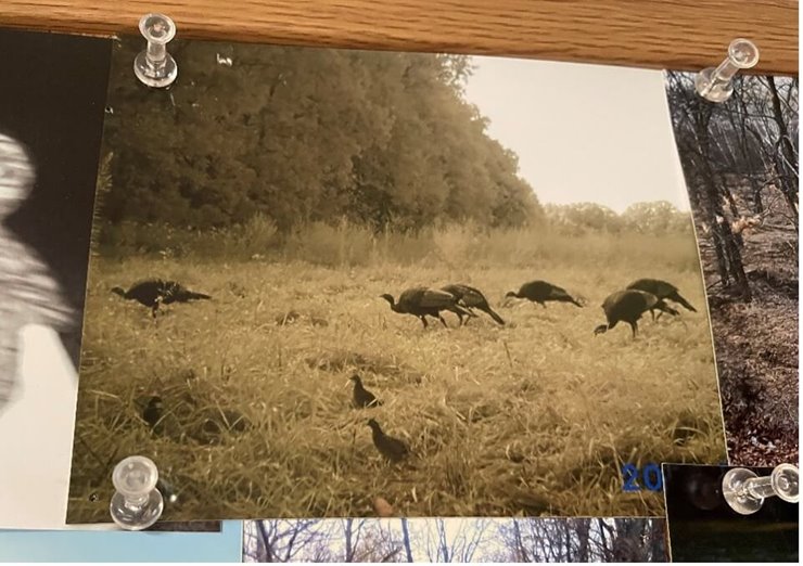 8bc9974d-9a0e-4ffa-a0d7-cc0f1f29c806