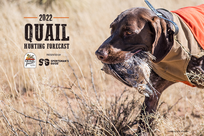 8d96d3ca-03ab-4c84-8e28-61e74b46c361