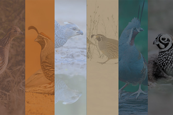 8ea5da08-0f78-4fc0-91b0-69344025495a