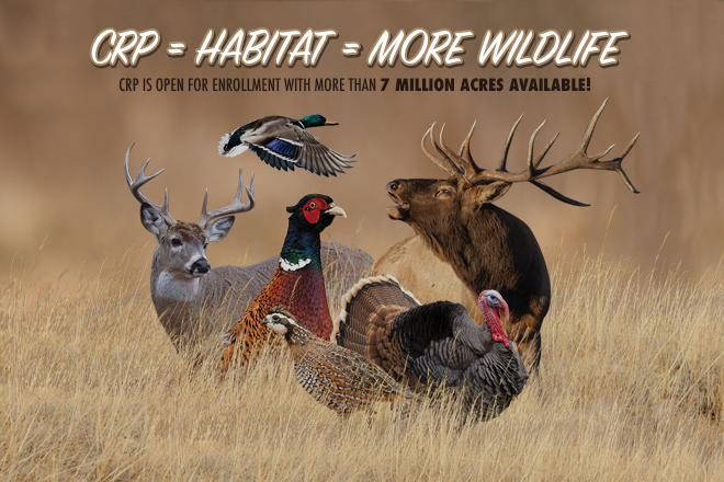 8ec86513-0fcc-4252-bd45-45edc2467e8a