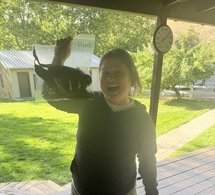 8f9a44c0-6b28-4794-ae0d-3b3d8ffbda12