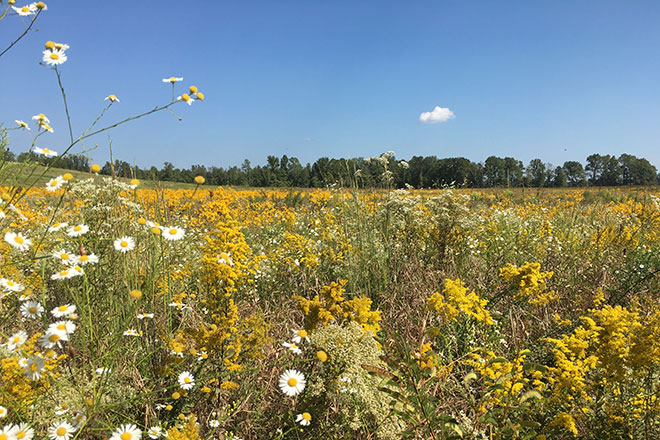 94c30c8d-b475-4b93-ab8f-9bfe04a0480e