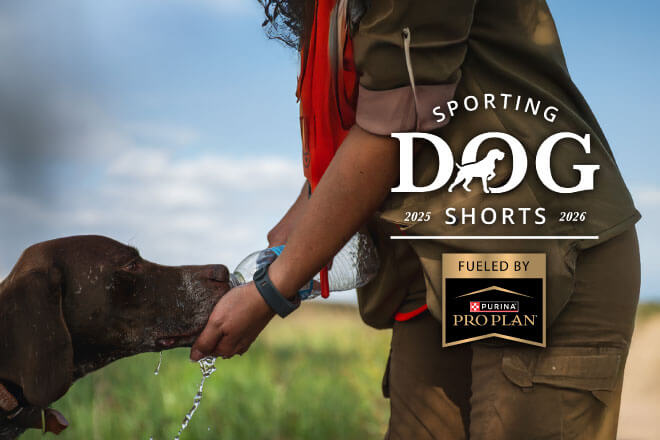 95007e1e-c597-4c88-8863-59abd6f1983f