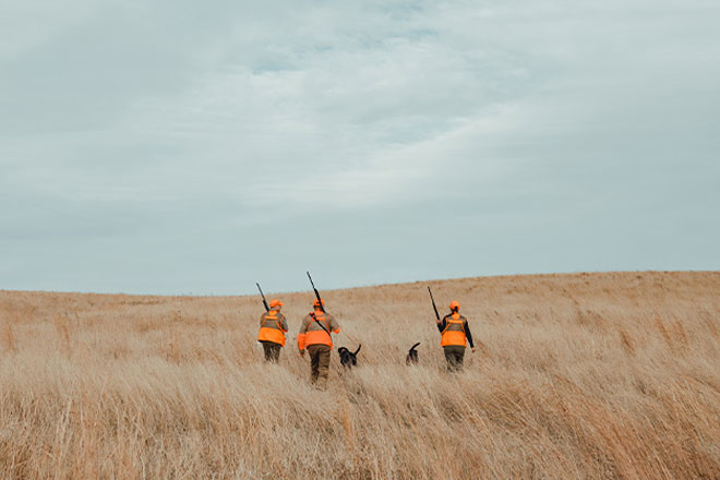 97400033-6bc0-4127-84d0-050cfa4858c3